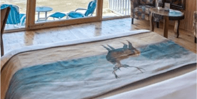 Hotel Booking Hotel Booking