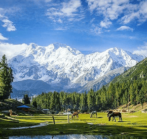 Fairy Meadows Fairy Meadows